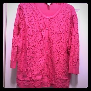 Lace front sweater 3/4 sleeve